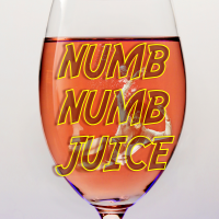 Numb Numb Juice - Instrumental cover